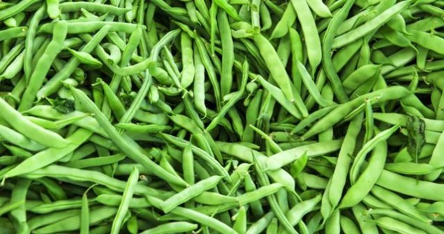 Rüyada Yeşil Fasulye Görmek